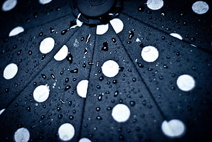 photo of water drops on black surface HD wallpaper